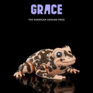 The American Ground Frog