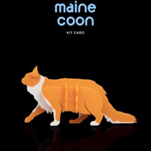 Maine Coon Kit Card
