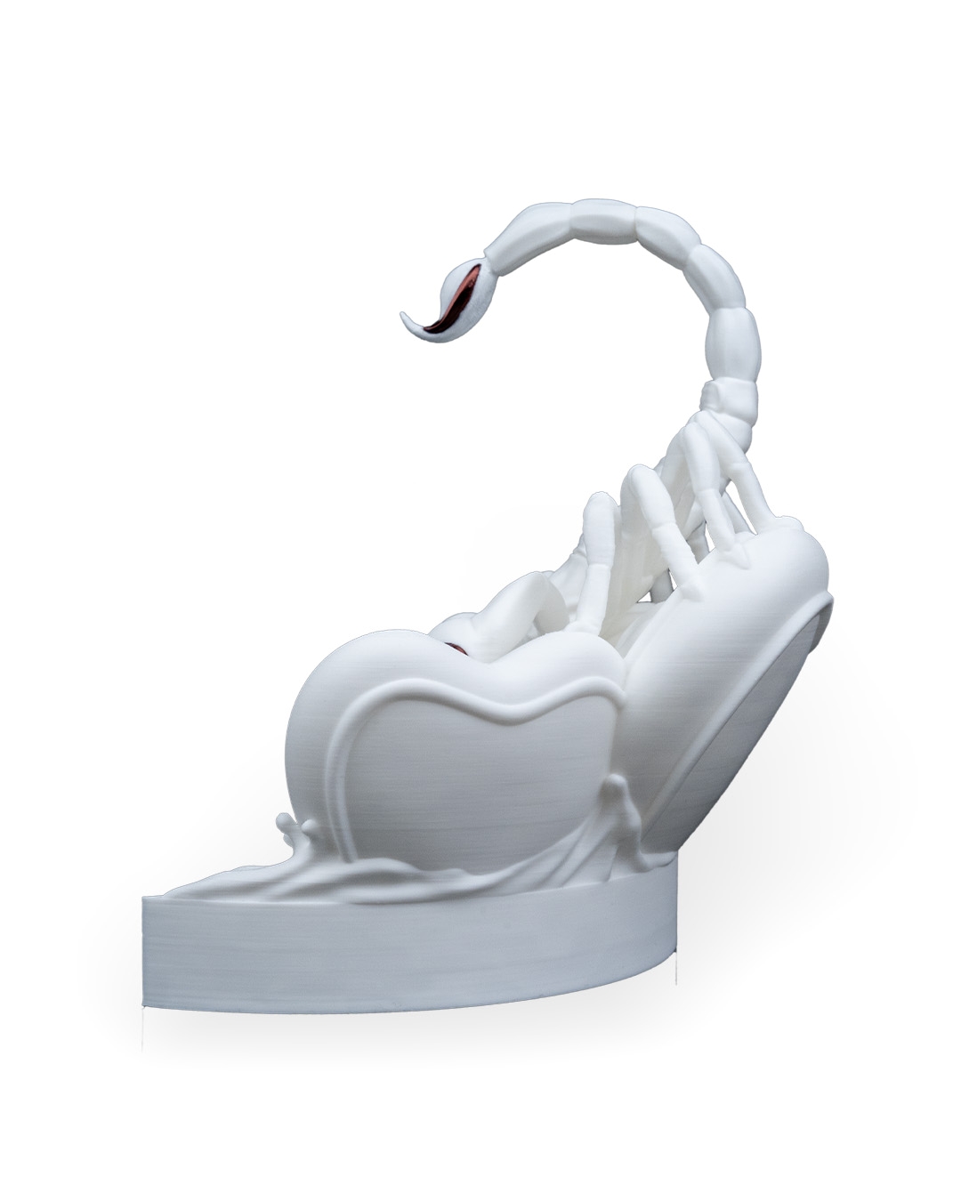 My valentine is a Scorpio - Image 12