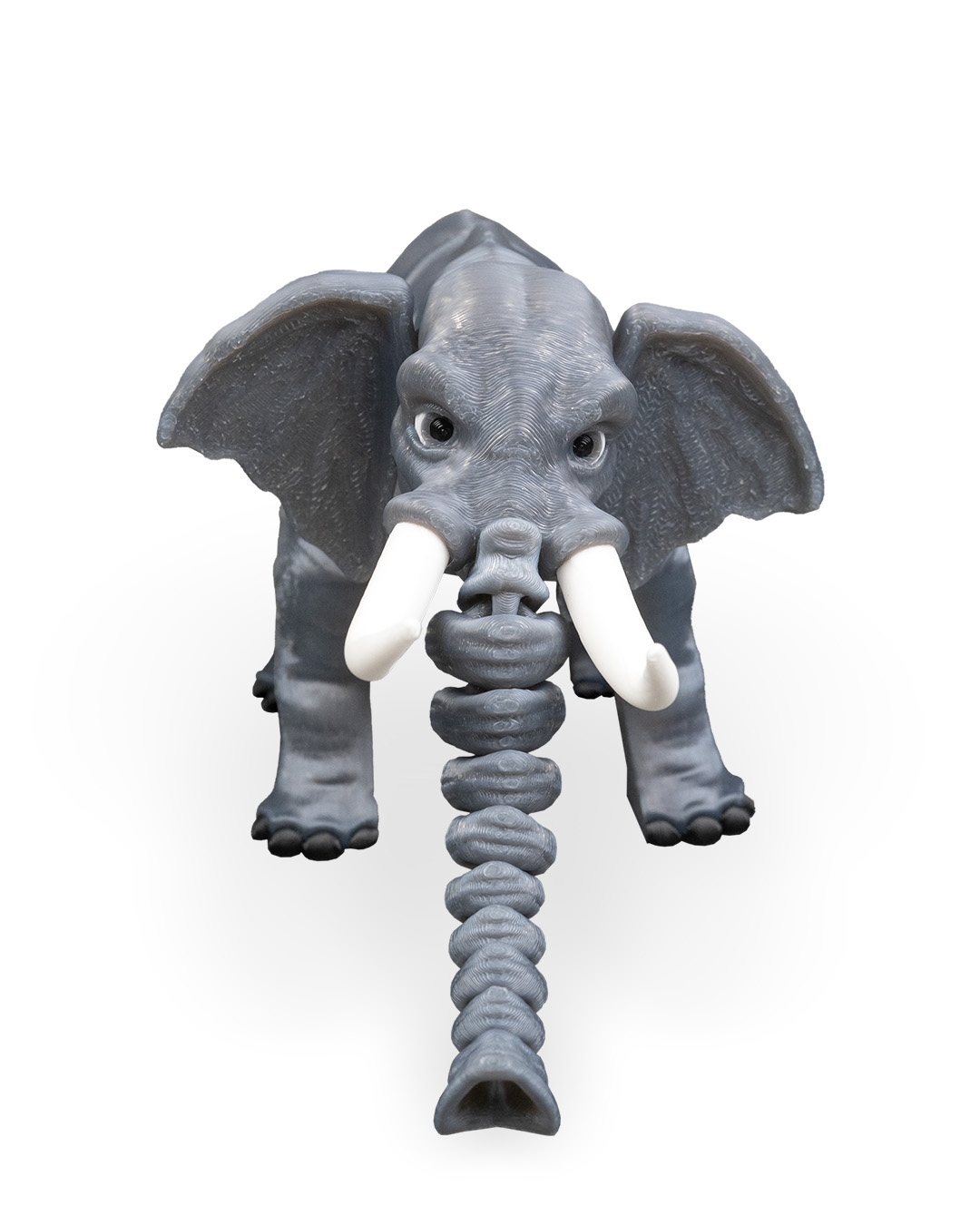 Elephant - Image 7