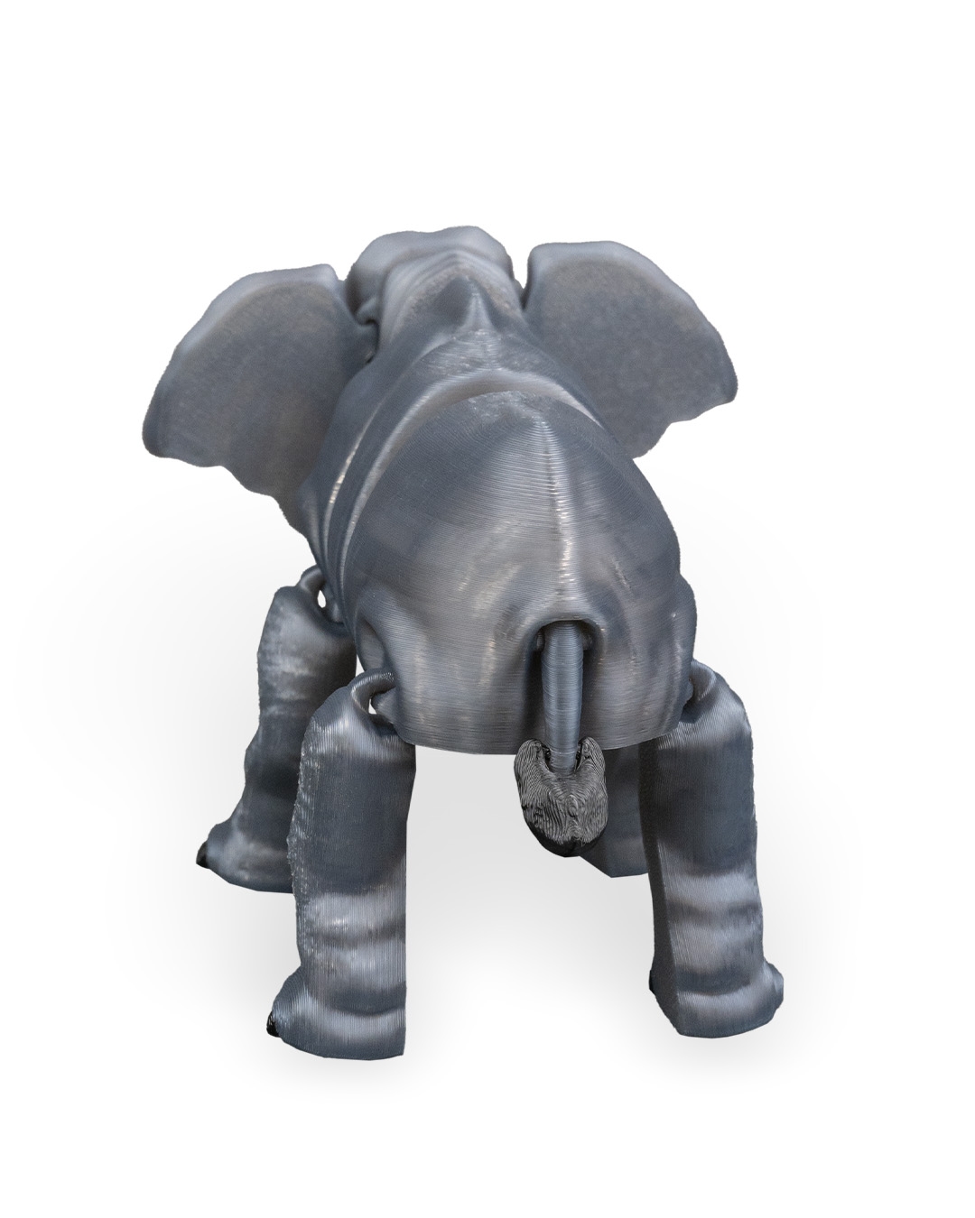 Elephant - Image 11