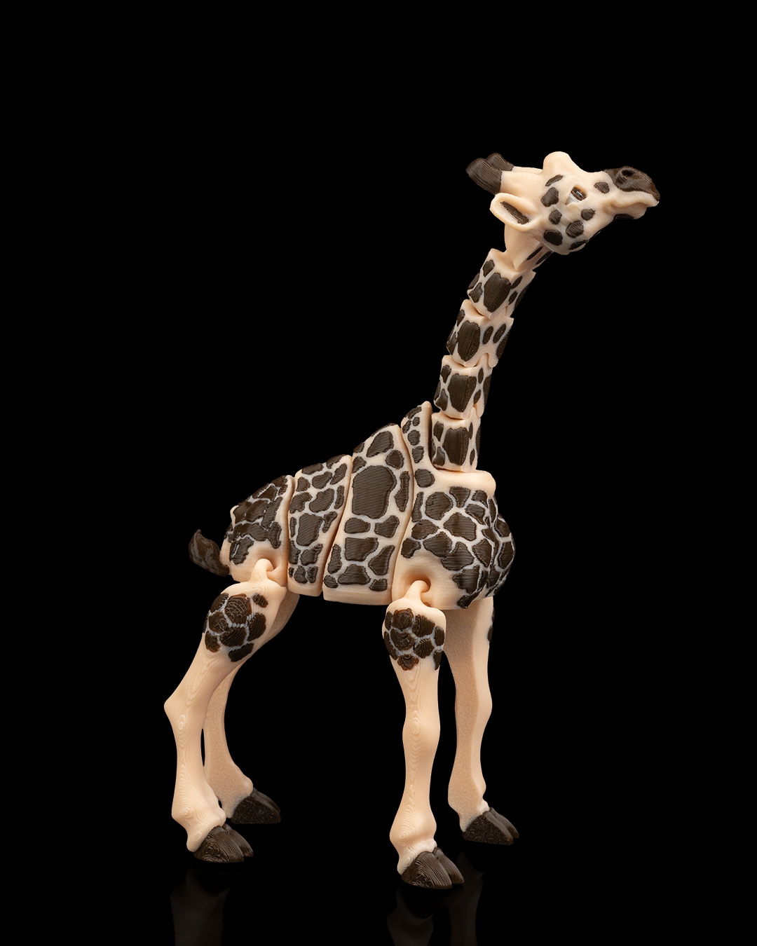 Giraffe - Image 4
