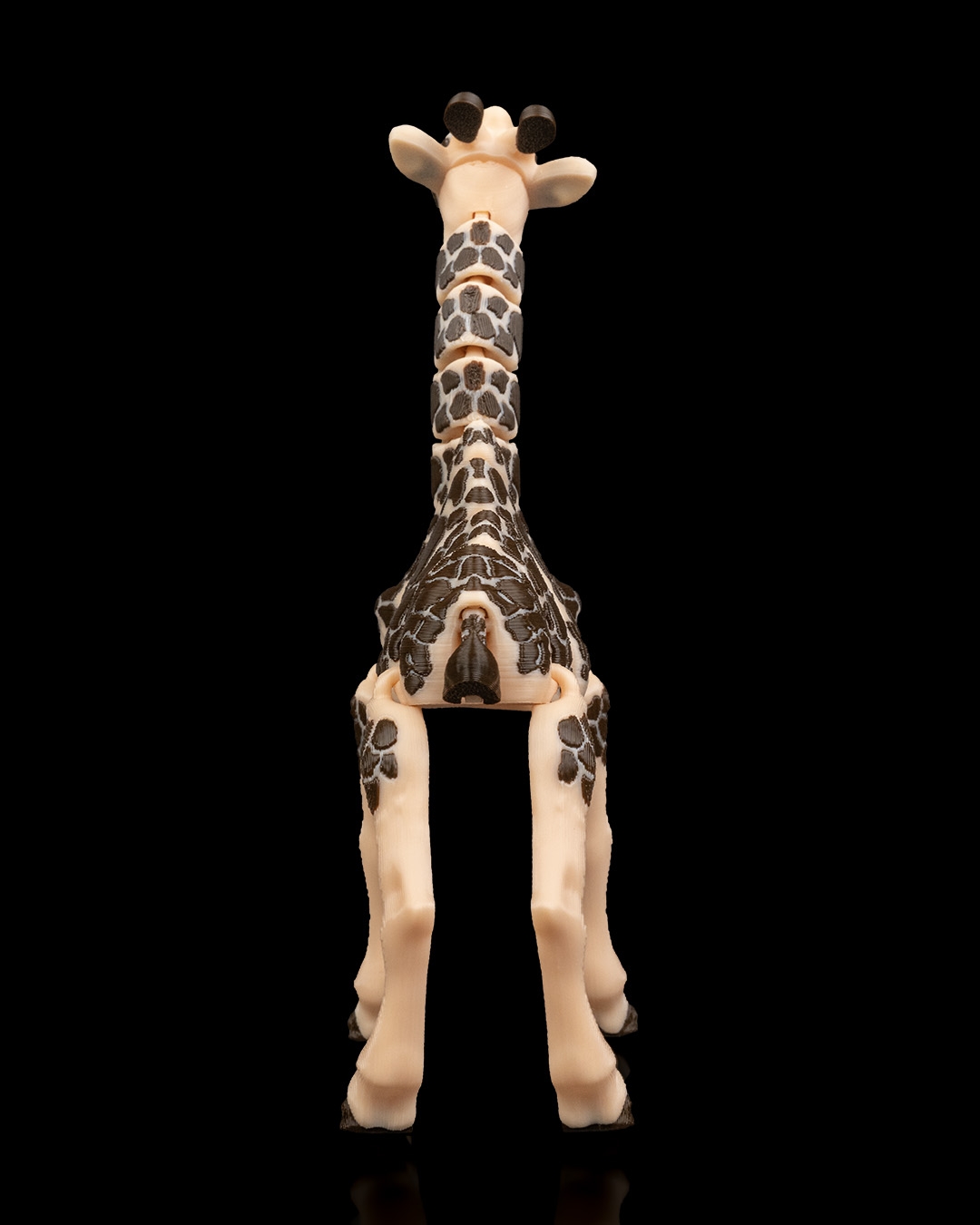 Giraffe - Image 6