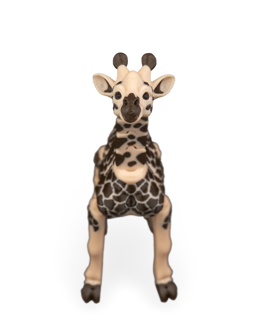 Giraffe - Image 7