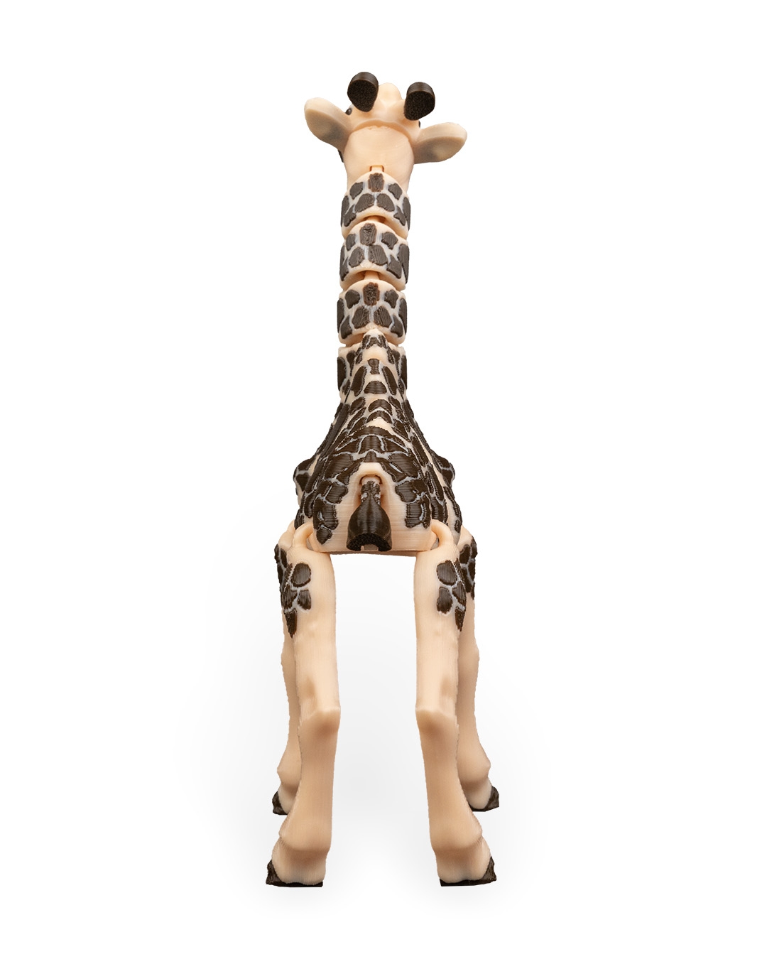 Giraffe - Image 11