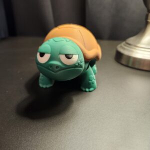 (Not) Surprised Turtle