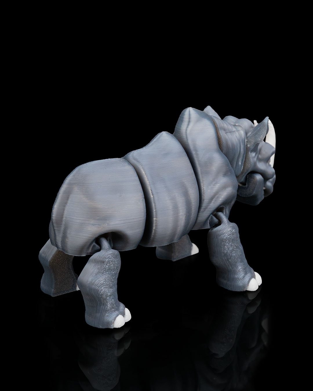 Rhinoceros - Image 4