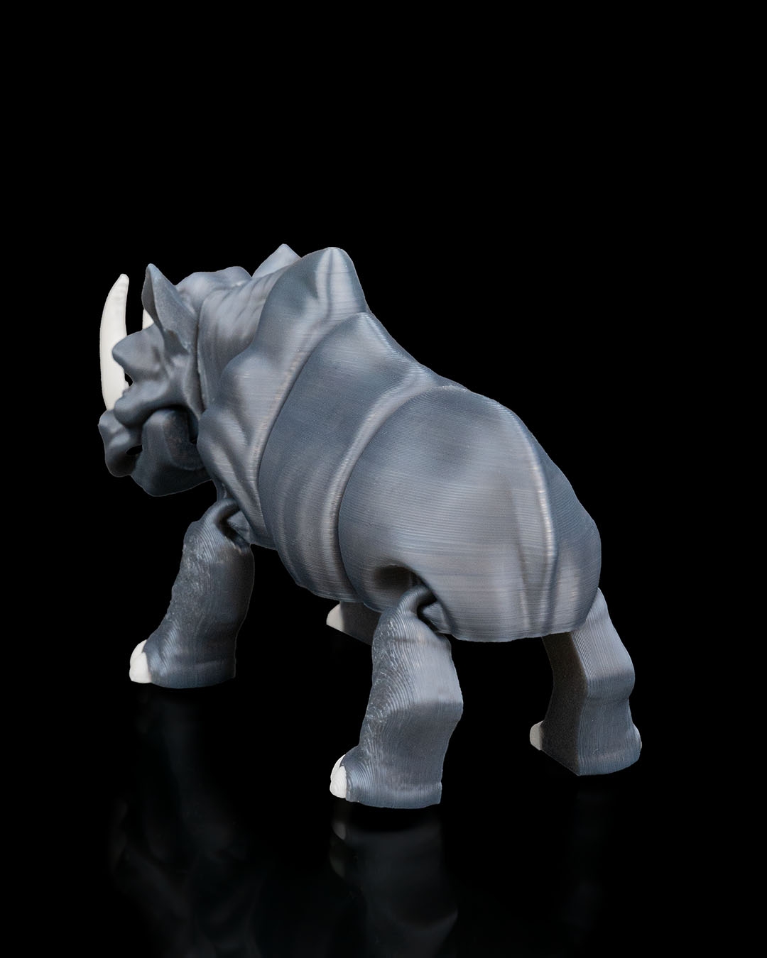 Rhinoceros - Image 5