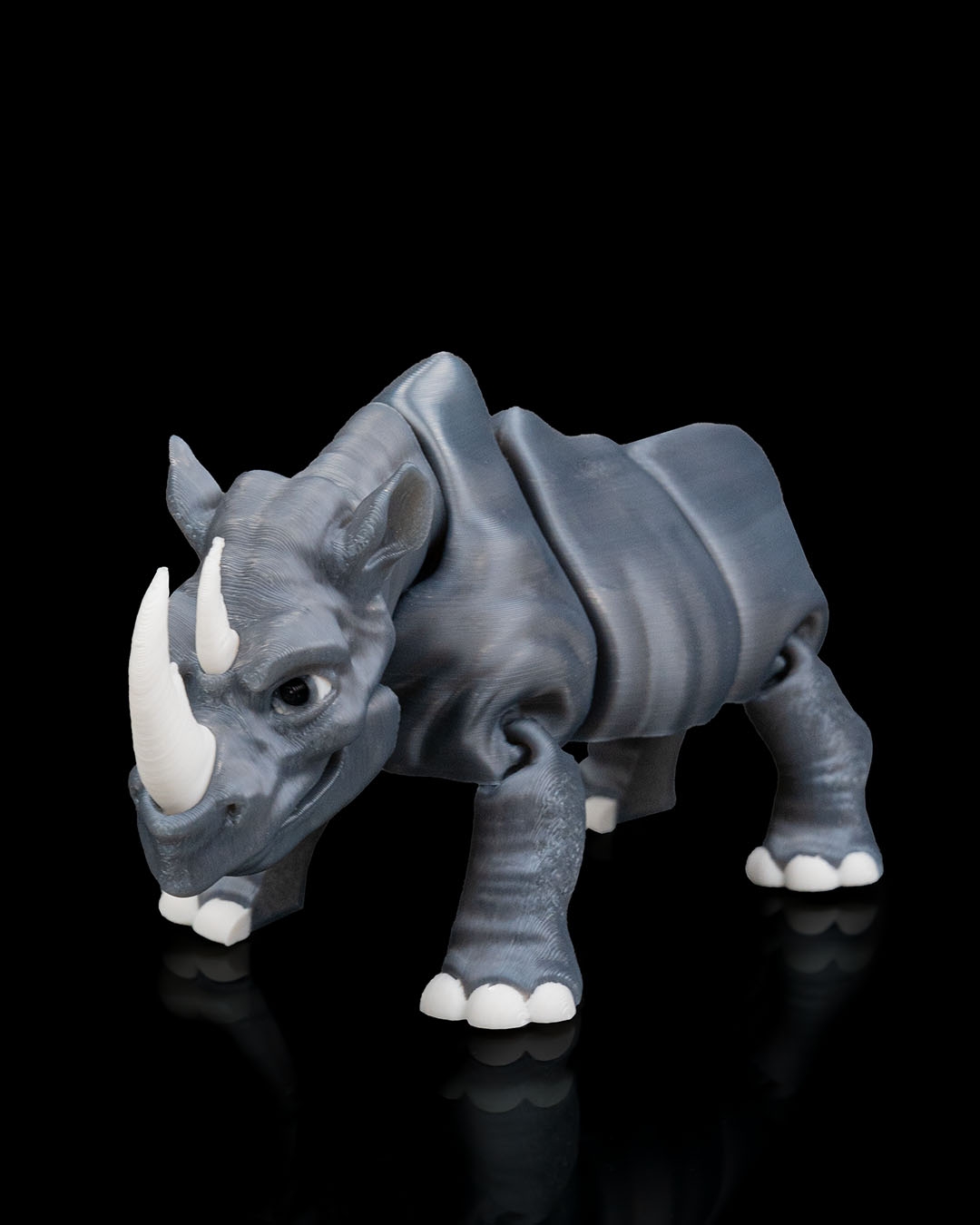 Rhinoceros - Image 6