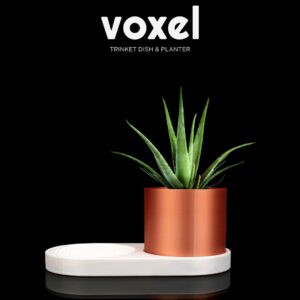 VOXEL Trinket Dish & Planter