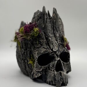 Skull Plant Pot - Custom