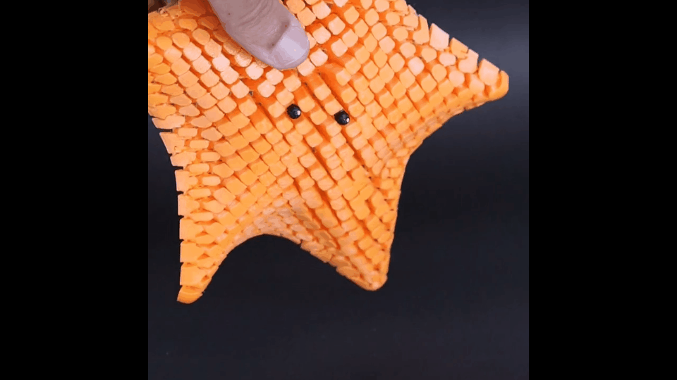 Estrela articulada - Image 3