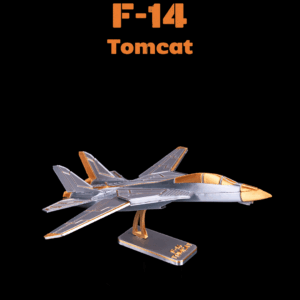 F-14 TomCat