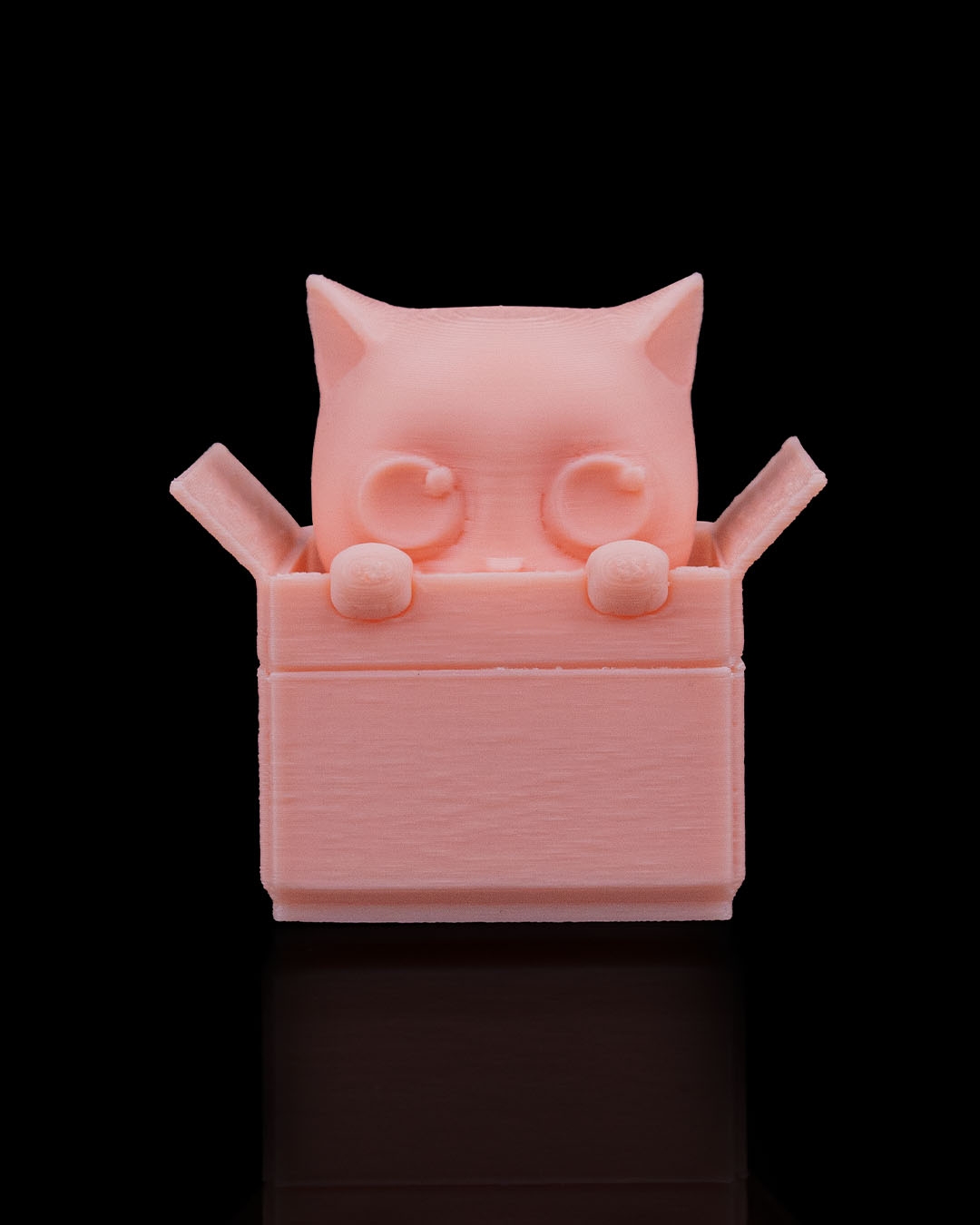 Pet the Cat Fidget & Keychain - Image 7