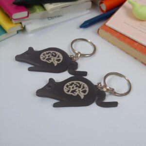 Llavero psicólogía experimental