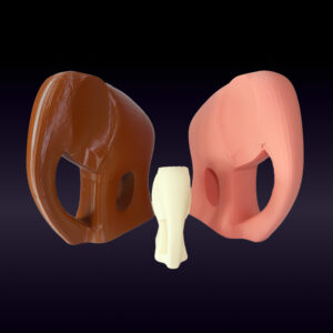 Família de elefantes