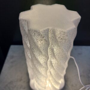 Hexagon Twisting LED Lamp