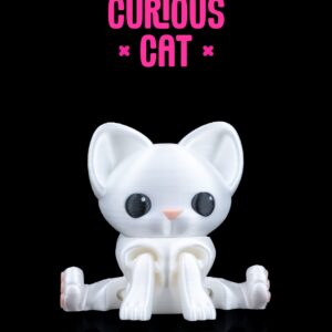Curious Cat