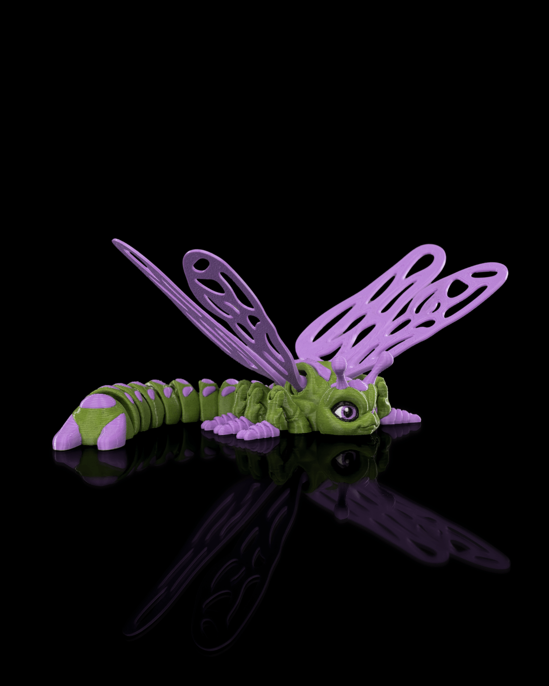 Lenny the Dragonfly - Image 5