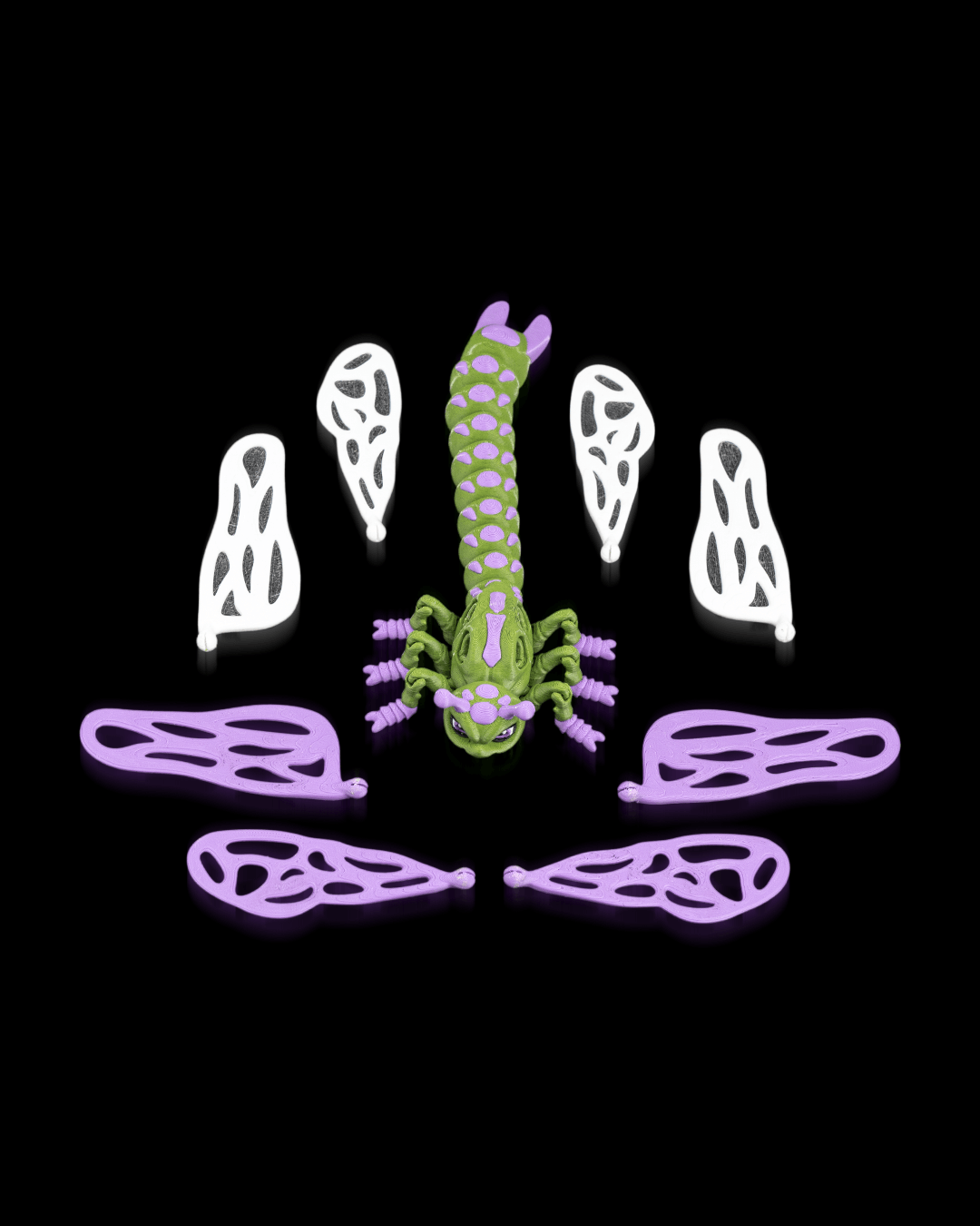 Lenny the Dragonfly - Image 2