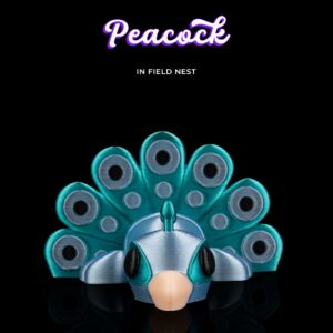 Peacock in Field Nest