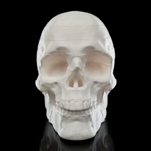 Escultura Desmontável Caveira