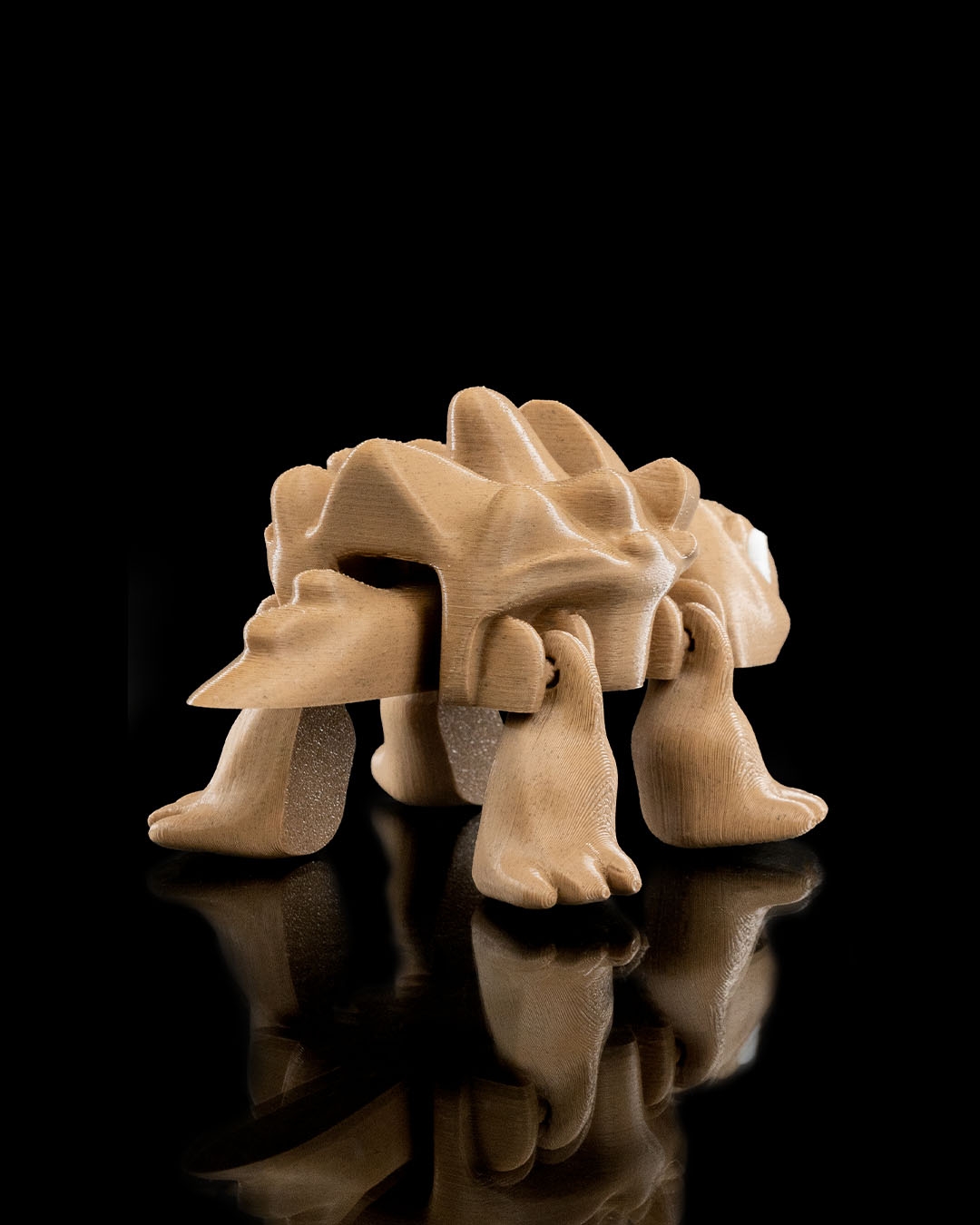 Tired Turtle - Image 4