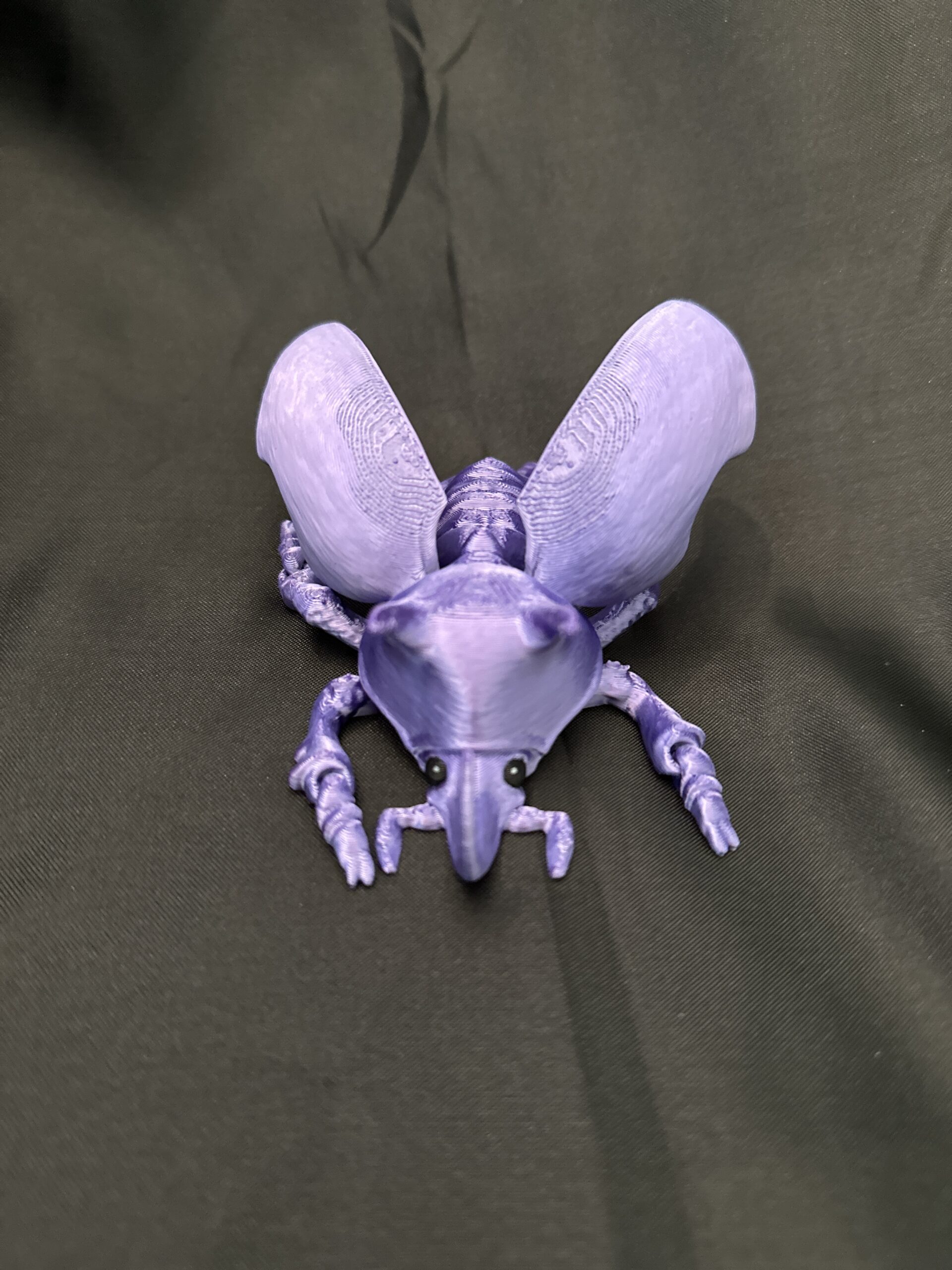 Articulated Unicorn Beetle - Image 4