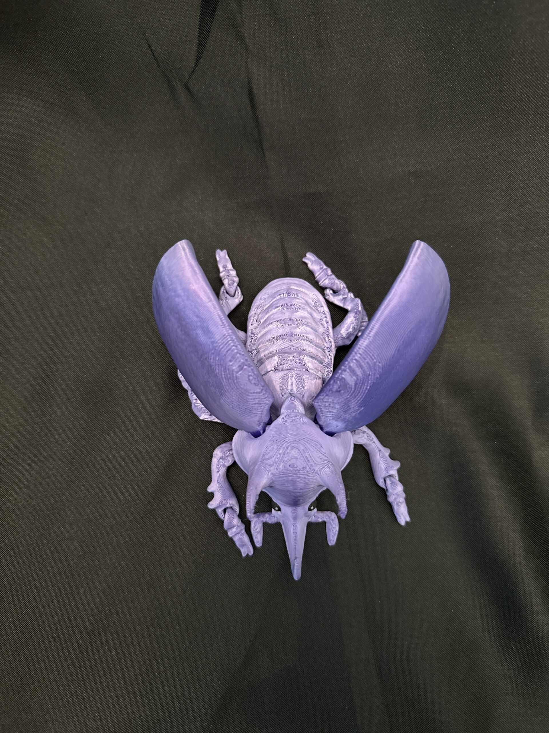 Articulated Unicorn Beetle - Image 5