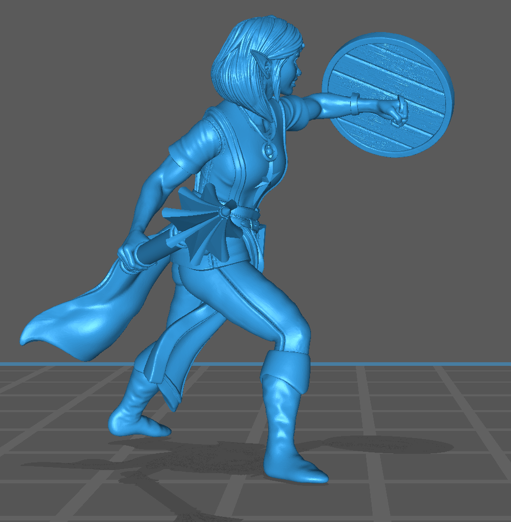 Young Female Hero | Elf | Cleric | Shield | D&D Dungeons and Dragons 5e - Image 5