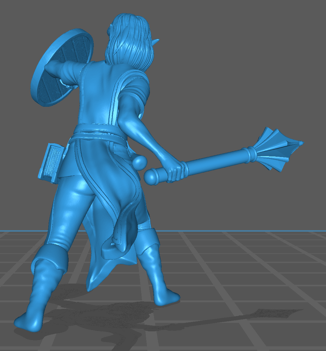 Young Female Hero | Elf | Cleric | Shield | D&D Dungeons and Dragons 5e - Image 3