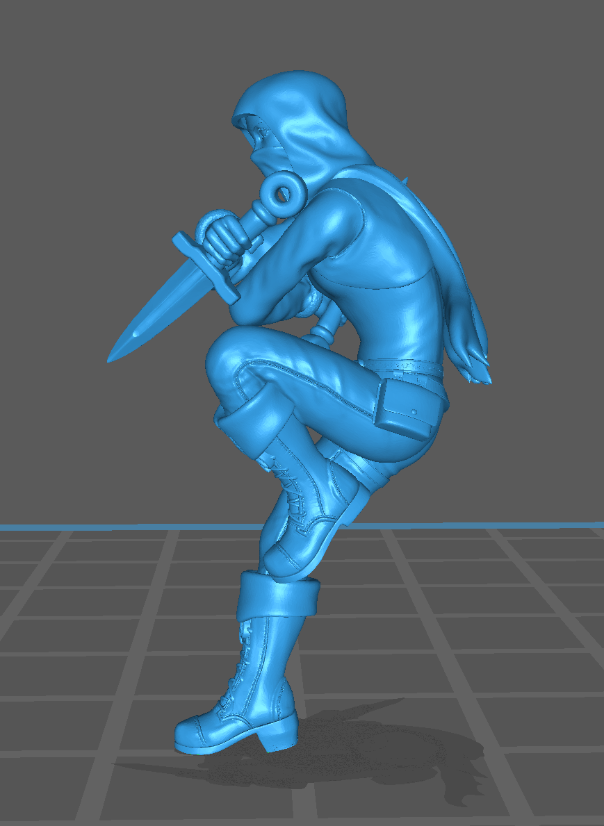 Young Female Rogue | Human | Dagger | Hood | D&D Dungeons and Dragons 5e - Image 4