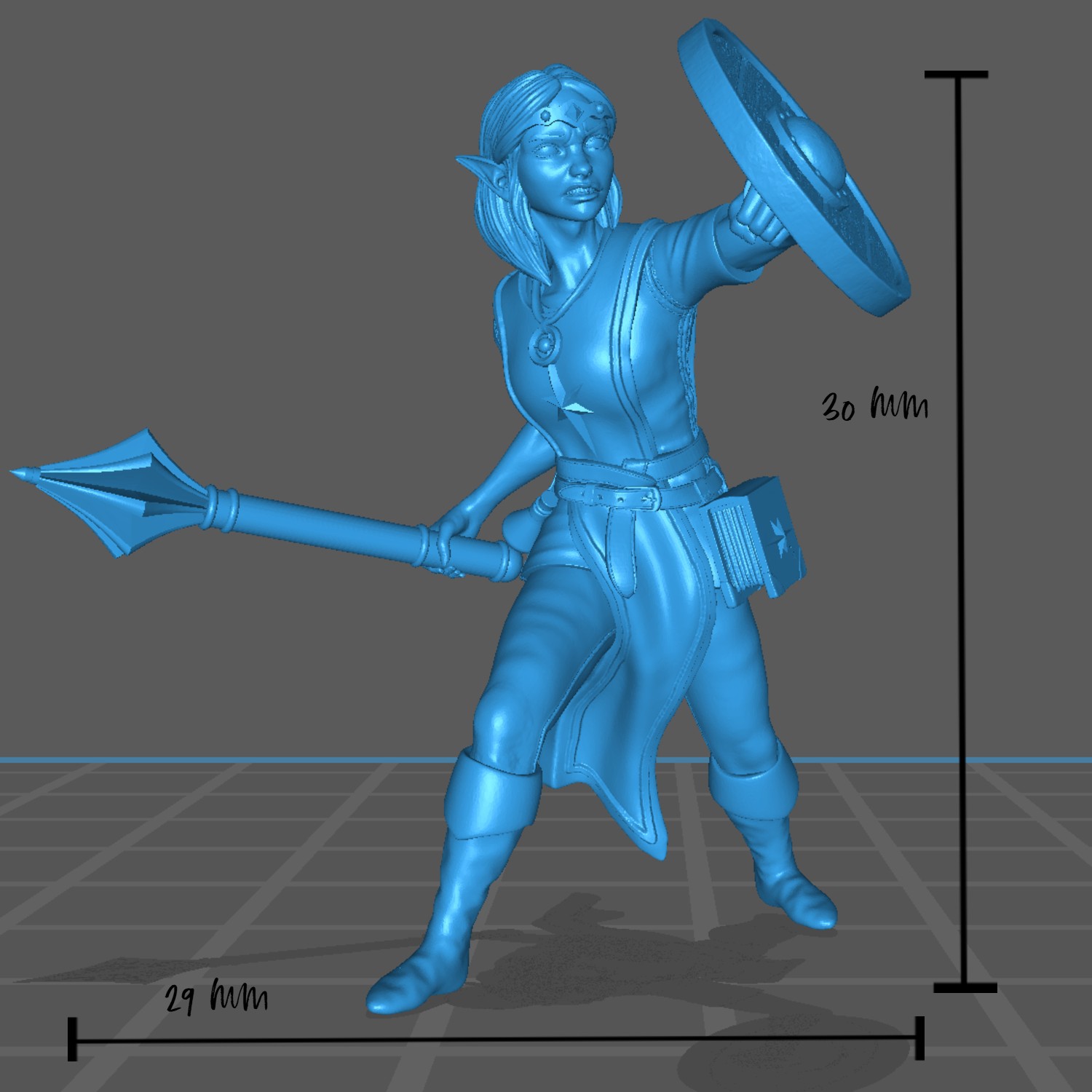 Young Female Hero | Elf | Cleric | Shield | D&D Dungeons and Dragons 5e - Image 2