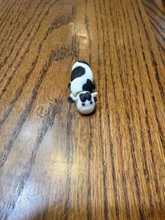 Mini Cow