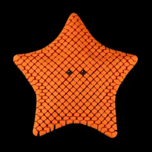 Starfish