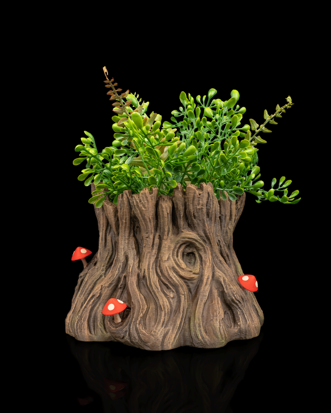 Snuggle Stump - Planter - Image 5