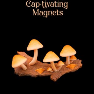 Cap-tivating Magnets