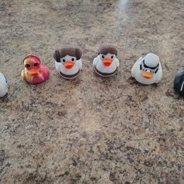 Beyond the Stars Ducks