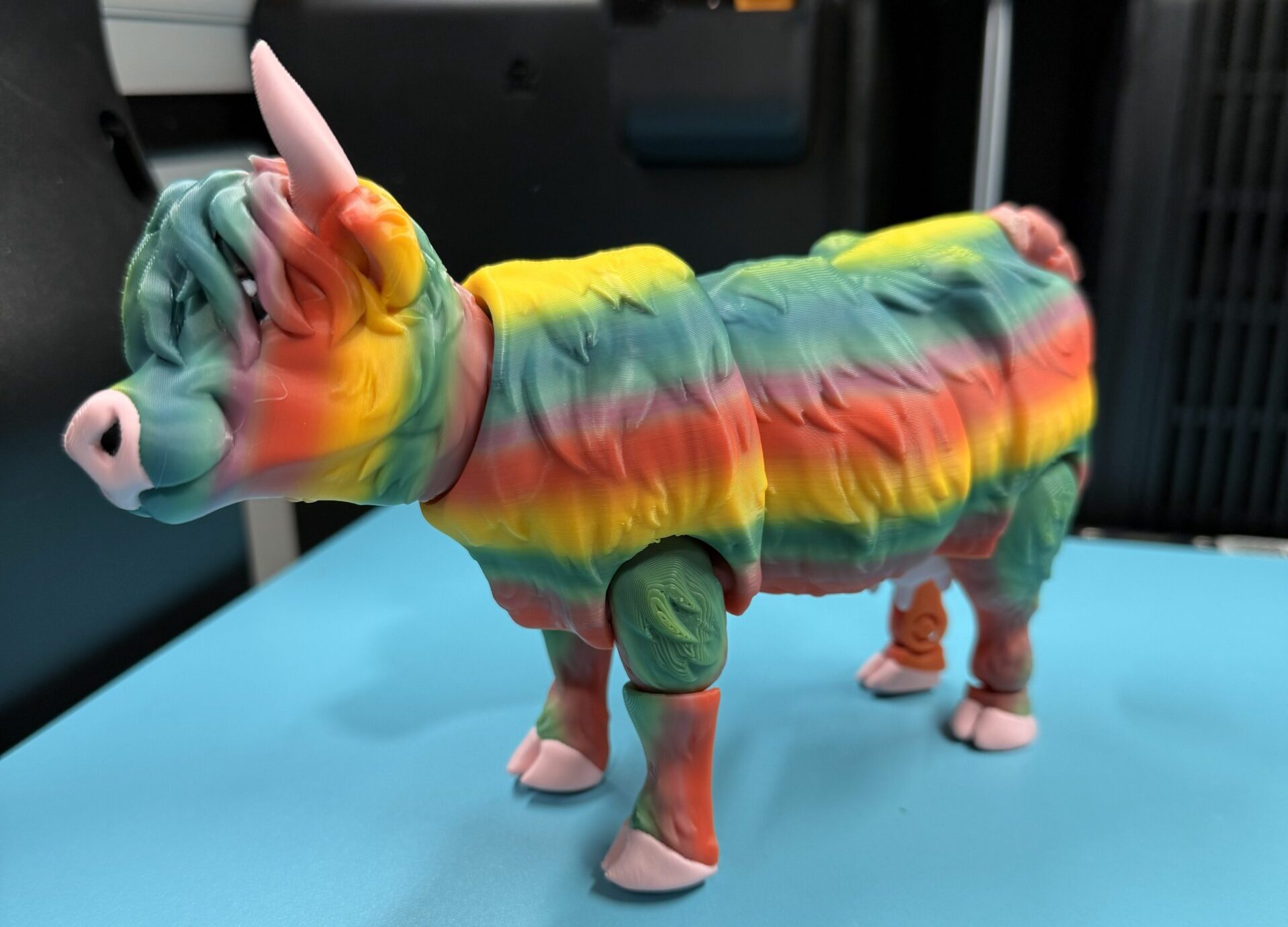 Highland Cow - Rainbow