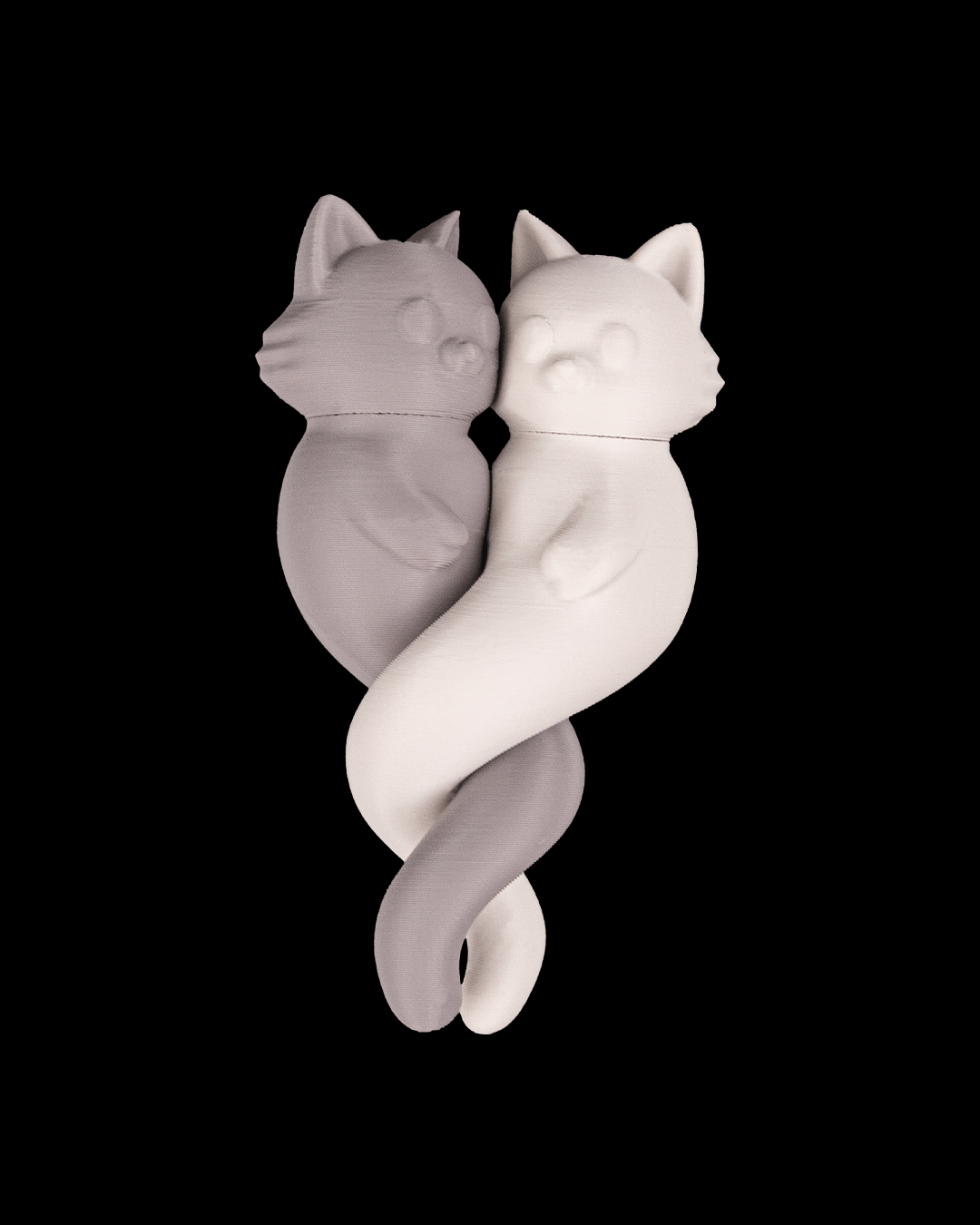 Amor Felino - Image 8