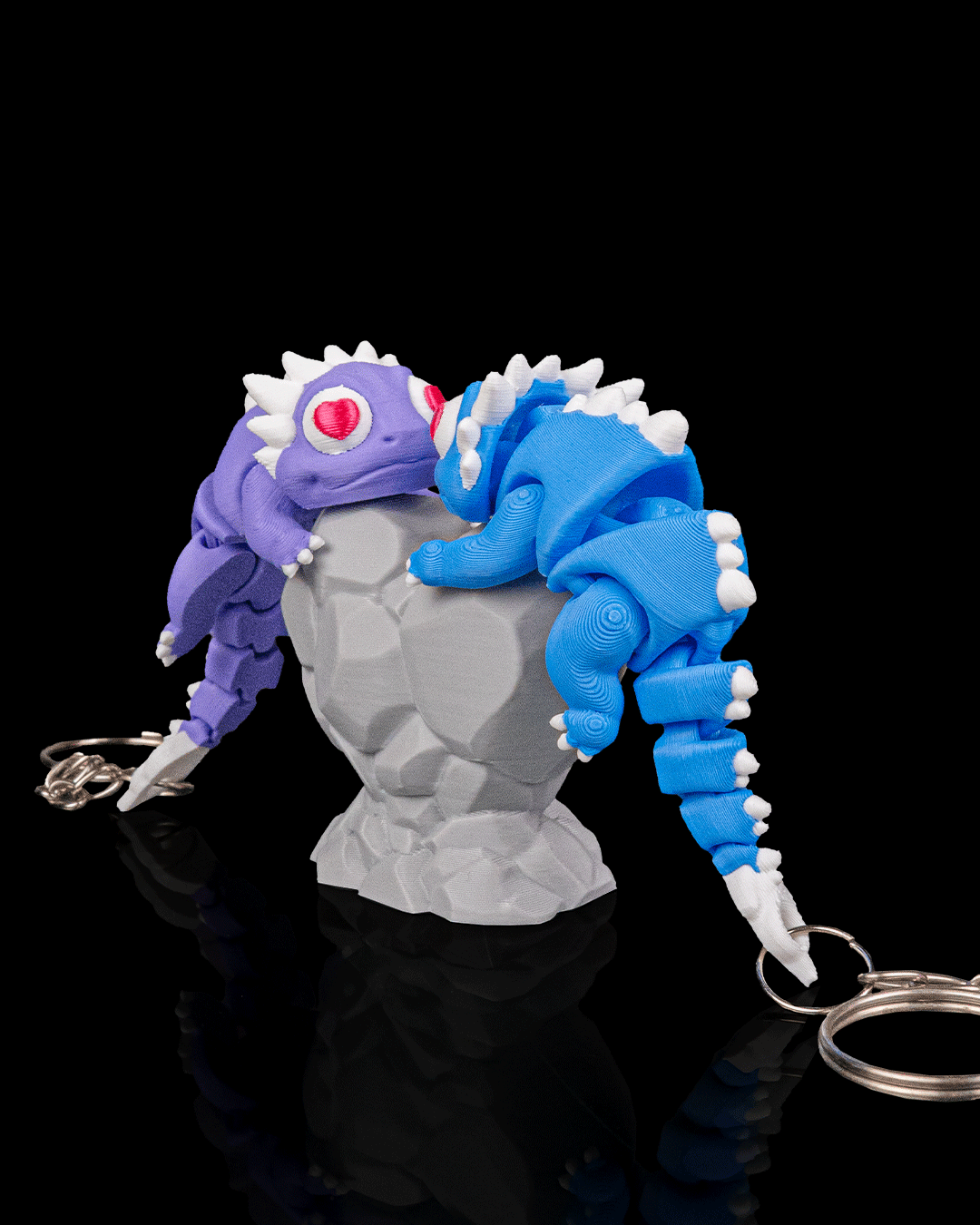 Amor Largatos - Image 4