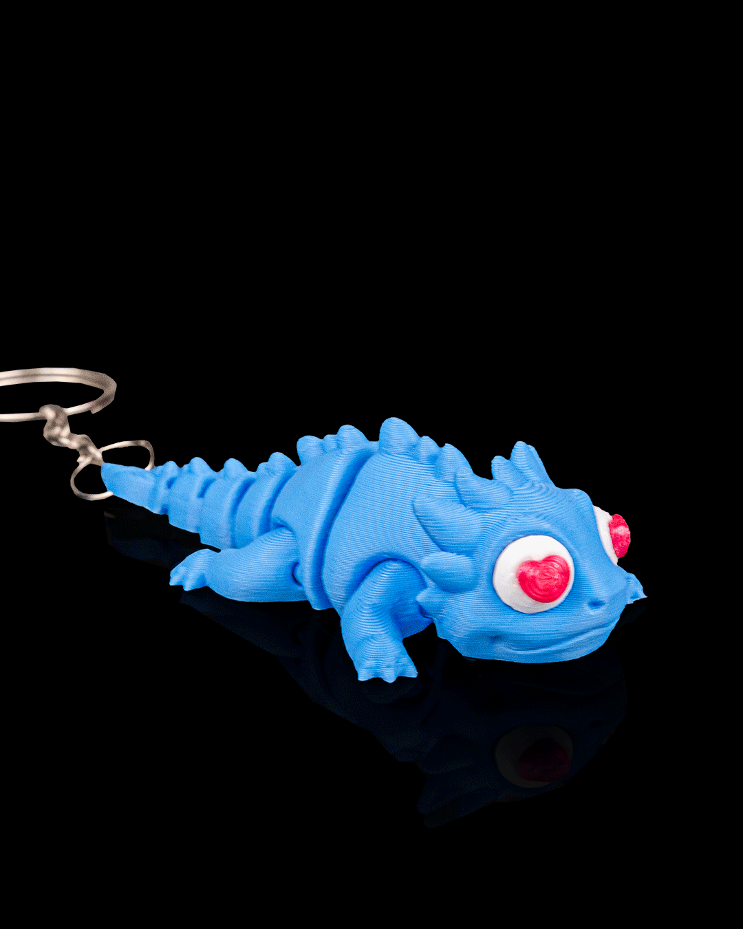 Amor Largatos - Image 5