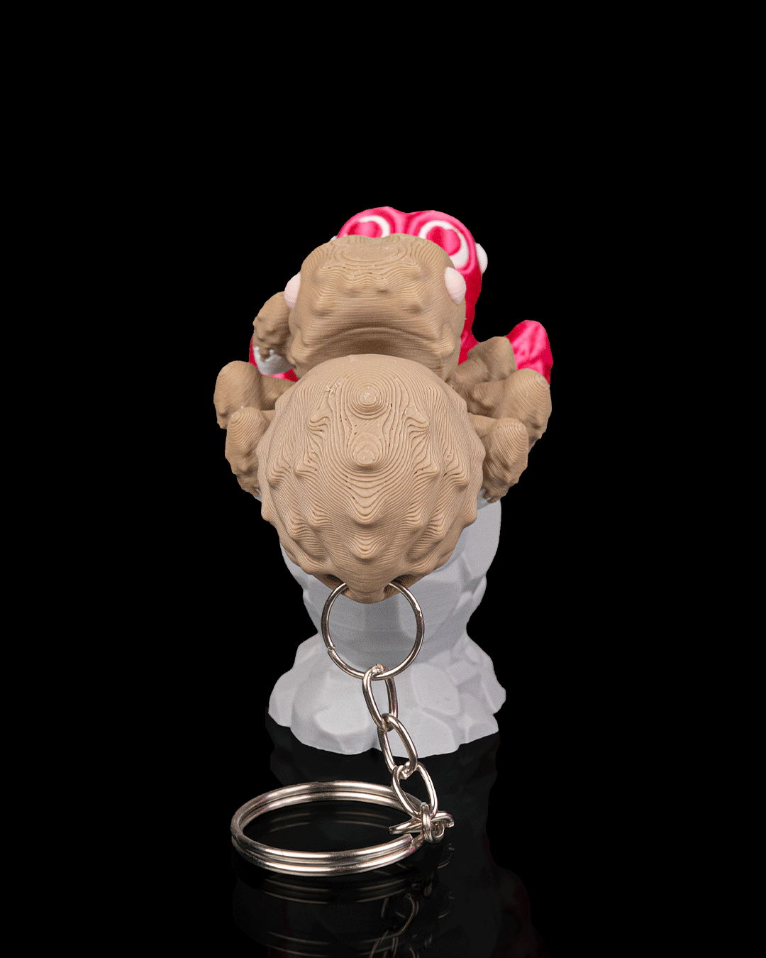 Aranha do Amor - Image 4