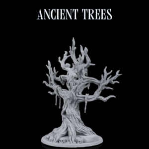 Ancient Trees
