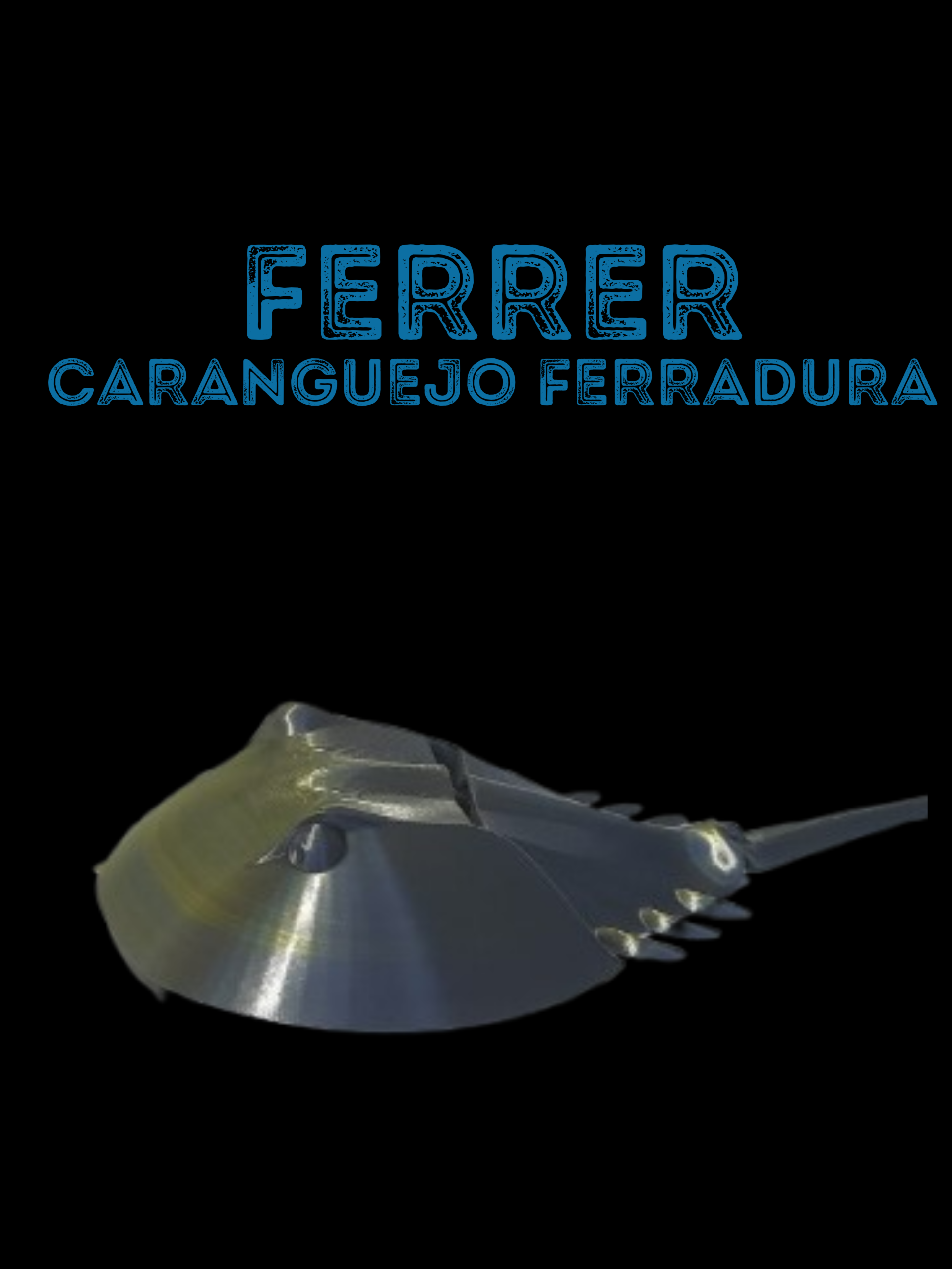 Ferrer,Caranguejo ferradura