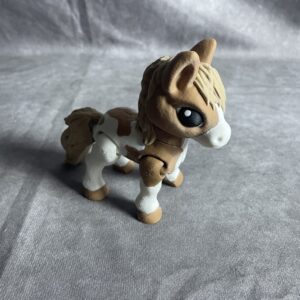 Spotted Pony
