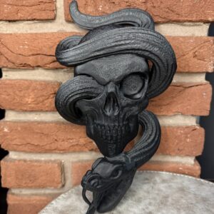 Snake Thru Skull Wall Decor