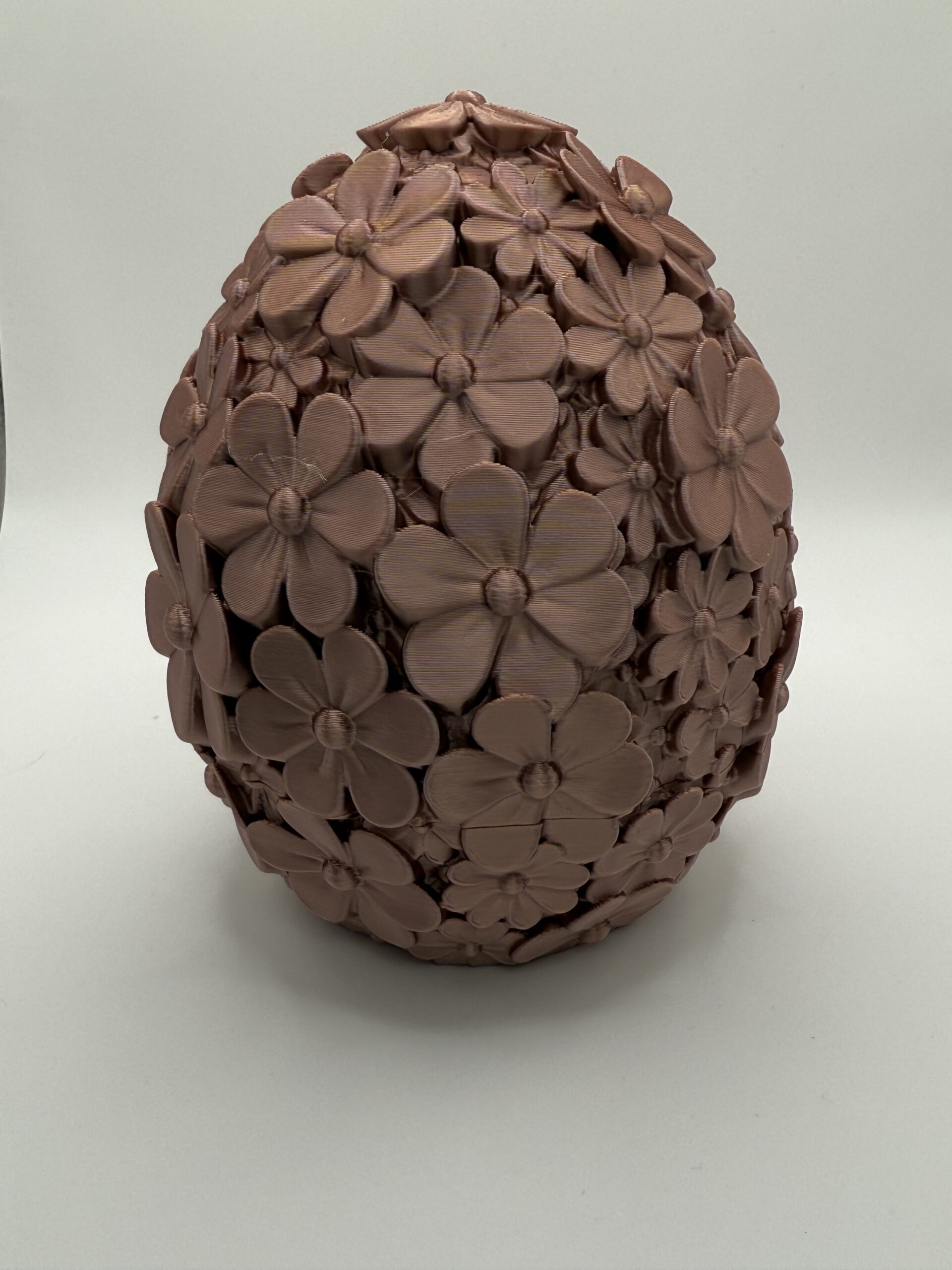 Daisy Bloom - Container - Image 2