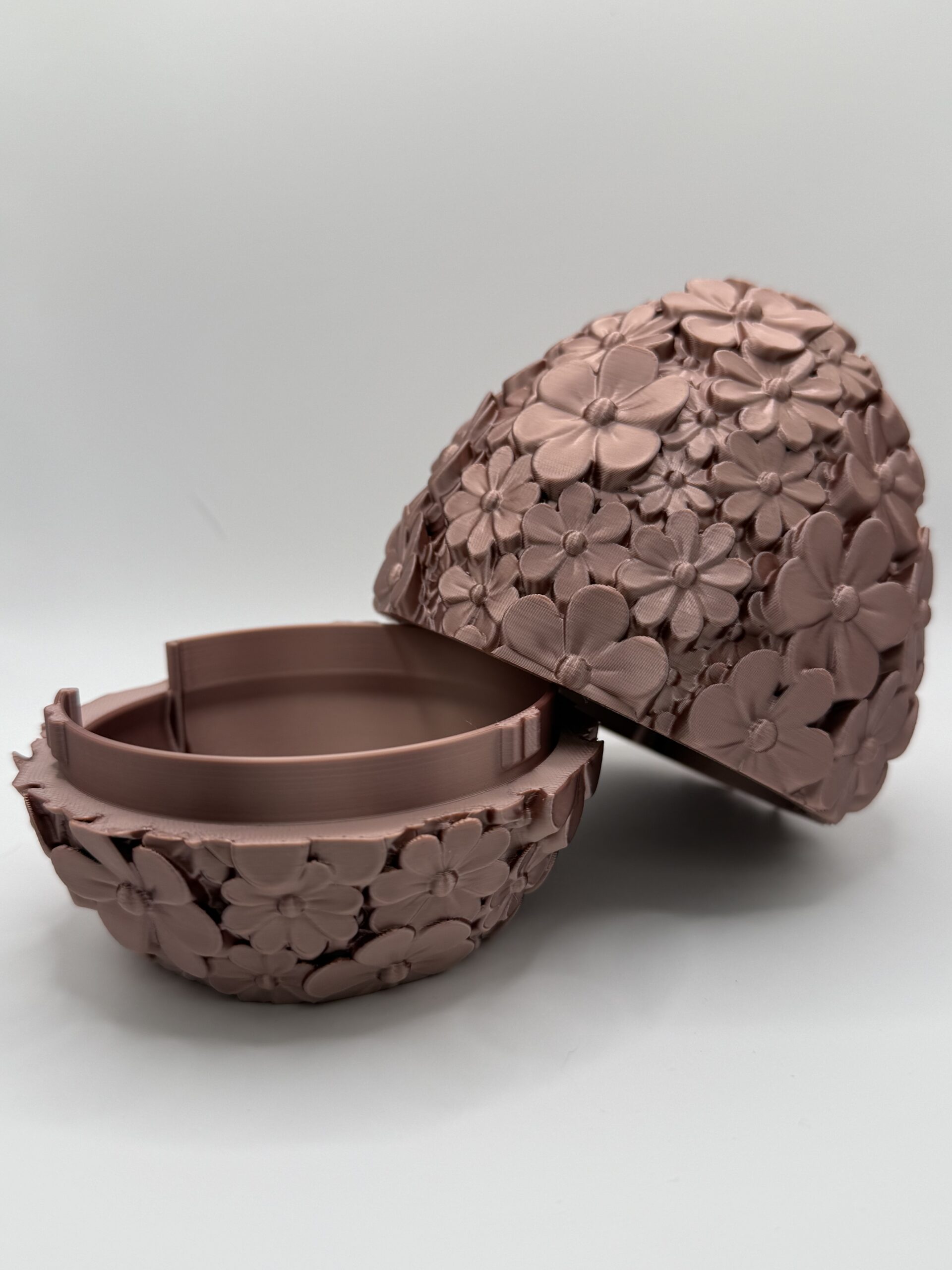 Daisy Bloom - Container - Image 5