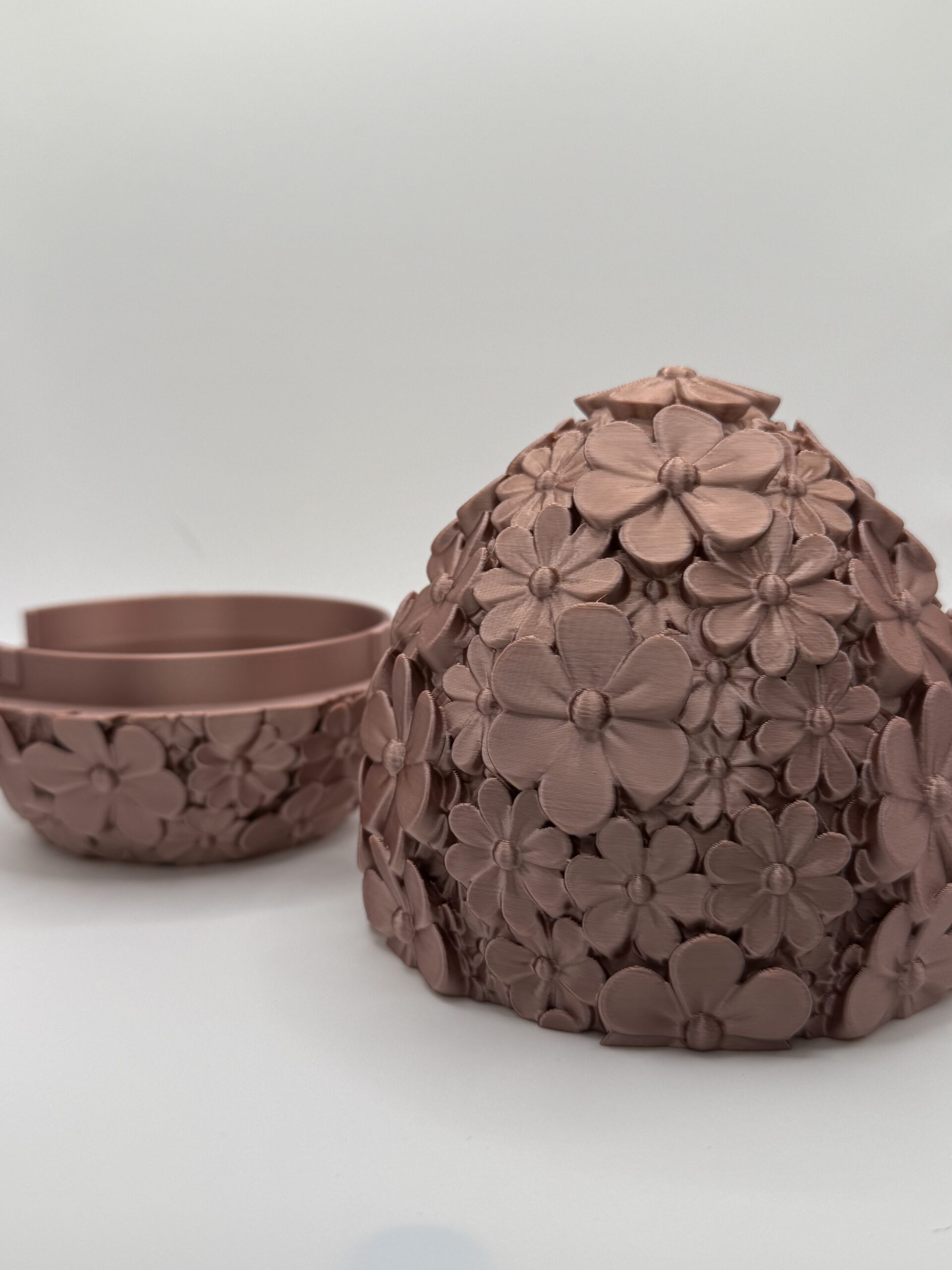 Daisy Bloom - Container - Image 4